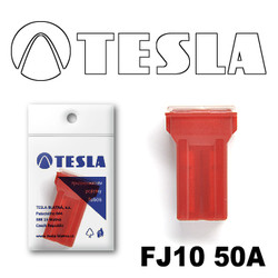 �������������� Tesla �������������� ������������ ���� FJ10 50� | ������� FJ1050A