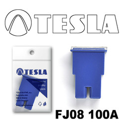 �������������� Tesla �������������� ������������ ���� FJ08 100� | ������� FJ08100A