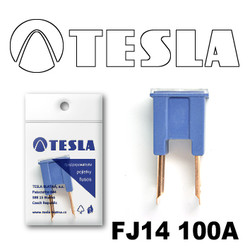 �������������� Tesla �������������� ������������ ���� FJ14 100� | ������� FJ14100A