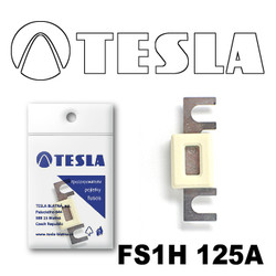 �������������� Tesla �������������� ��������� � ���������� 125� | ������� FS1H125A