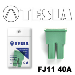 �������������� Tesla �������������� ������������ ���� FJ11 40� | ������� FJ1140A