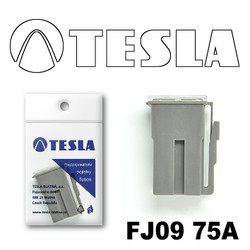 �������������� Tesla �������������� ������������ ���� FJ09 75� | ������� FJ0975A