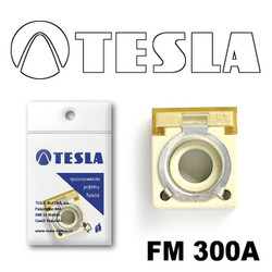 �������������� Tesla �������������� ���������� FM  300A | ������� FM300A