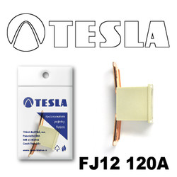 �������������� Tesla �������������� ������������ ���� FJ12 120� | ������� FJ12120A