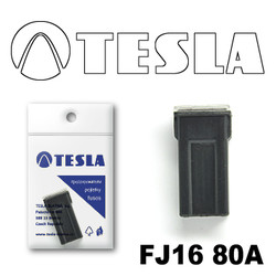 �������������� Tesla �������������� ������������ ���� FJ16 80� | ������� FJ1680A