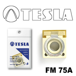 �������������� Tesla �������������� ���������� FM  75A | ������� FM75A
