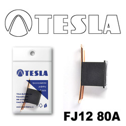 �������������� Tesla �������������� ������������ ���� FJ12 80� | ������� FJ1280A