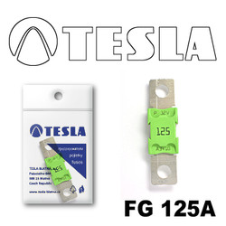 �������������� Tesla �������������� MEGA 125A | ������� FG125A