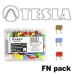 �������������� Tesla �������������� ������� MINI � ������������ 100 ��/���. | ������� FNPACK