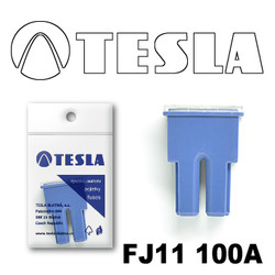 �������������� Tesla �������������� ������������ ���� FJ11 100� | ������� FJ11100A