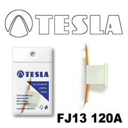 �������������� Tesla �������������� ������������ ���� FJ13 120� | ������� FJ13120A