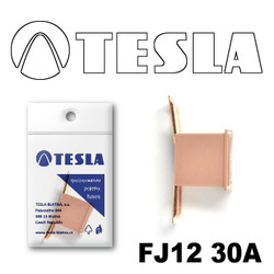 �������������� Tesla �������������� ������������ ���� FJ12 30� | ������� FJ1230A