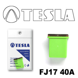 �������������� Tesla �������������� ������������ ���� FJ17 40� | ������� FJ1740A