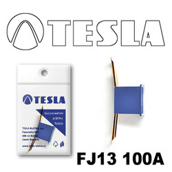 �������������� Tesla �������������� ������������ ���� FJ13 100� | ������� FJ13100A