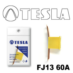 �������������� Tesla �������������� ������������ ���� FJ13 60� | ������� FJ1360A