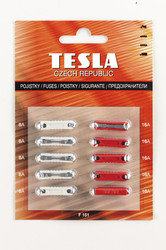 �������������� Tesla �������������� CONTINENTAL (5�8�, 5�16�), �������� 10��. | ������� F151