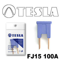 �������������� Tesla �������������� ������������ ���� FJ15 100� | ������� FJ15100A