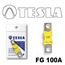 �������������� Tesla �������������� MEGA 100A | ������� FG100A