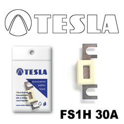 �������������� Tesla �������������� ��������� � ���������� 30� | ������� FS1H30A