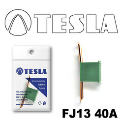 �������������� Tesla �������������� ������������ ���� FJ13 40� | ������� FJ1340A
