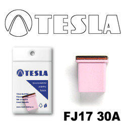 �������������� Tesla �������������� ������������ ���� FJ17 30� | ������� FJ1730A
