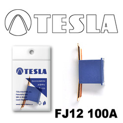 �������������� Tesla �������������� ������������ ���� FJ12 100� | ������� FJ12100A