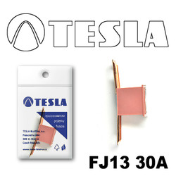 �������������� Tesla �������������� ������������ ���� FJ13 30� | ������� FJ1330A