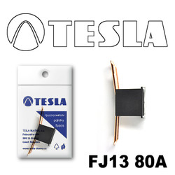 �������������� Tesla �������������� ������������ ���� FJ13 80� | ������� FJ1380A