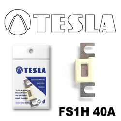 �������������� Tesla �������������� ��������� � ���������� 40� | ������� FS1H40A