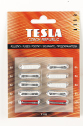 �������������� Tesla �������������� CONTINENTAL (8�8�, 2�16�), �������� 10��. | ������� F153