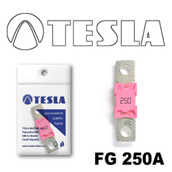 �������������� Tesla �������������� MEGA 250A | ������� FG250A