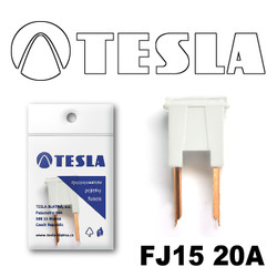 �������������� Tesla �������������� ������������ ���� FJ15 20� | ������� FJ1520A