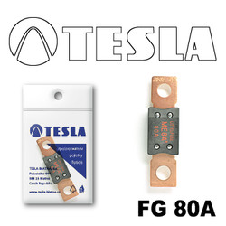 �������������� Tesla �������������� MEGA 80A | ������� FG80A