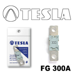 �������������� Tesla �������������� MEGA 300A | ������� FG300A