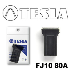 �������������� Tesla �������������� ������������ ���� FJ10 80� | ������� FJ1080A