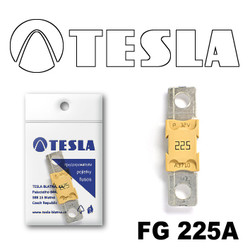 �������������� Tesla �������������� MEGA 225A | ������� FG225A